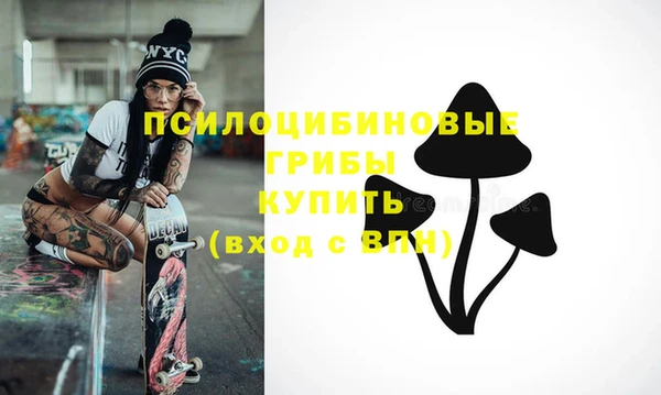 хмурый Новозыбков
