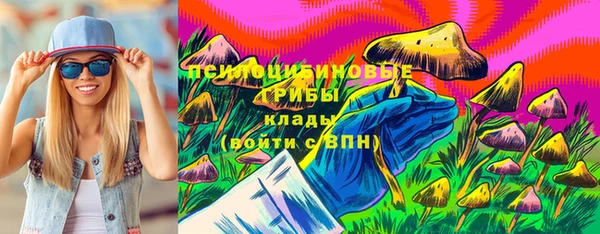 прущие грибы Абинск