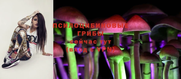 хмурый Новозыбков