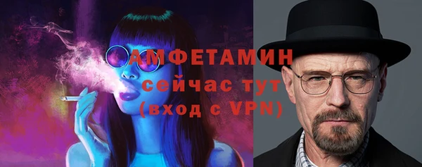прущие грибы Абинск