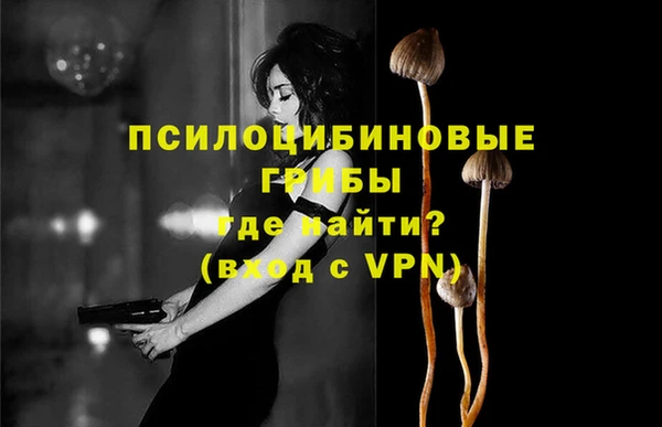 тгк Абдулино