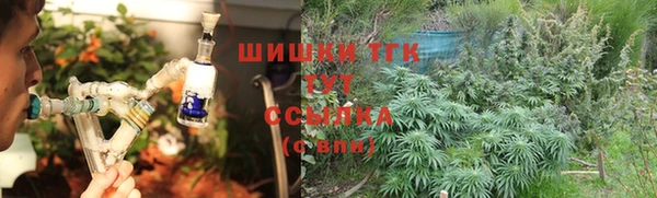 spice Абаза