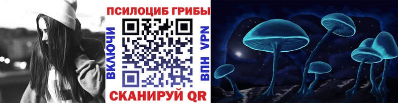 сколько стоит  Енисейск  Галлюциногенные грибы прущие грибы 