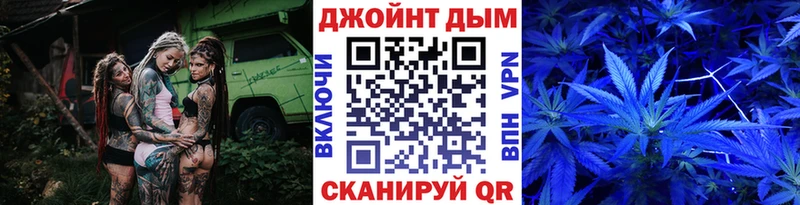 Бошки Шишки тримм  Енисейск 